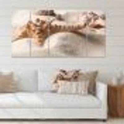 Close Up of Starfish and Seashell on Light Sand Canvas Wall Art Print Panels