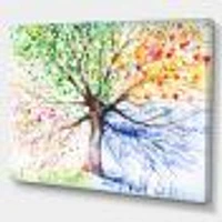 Four Seasons Tree  Canvas Art Print