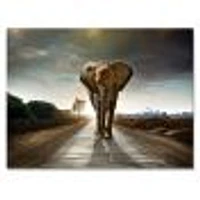 Toile imprimée « Single Walking Elephant »