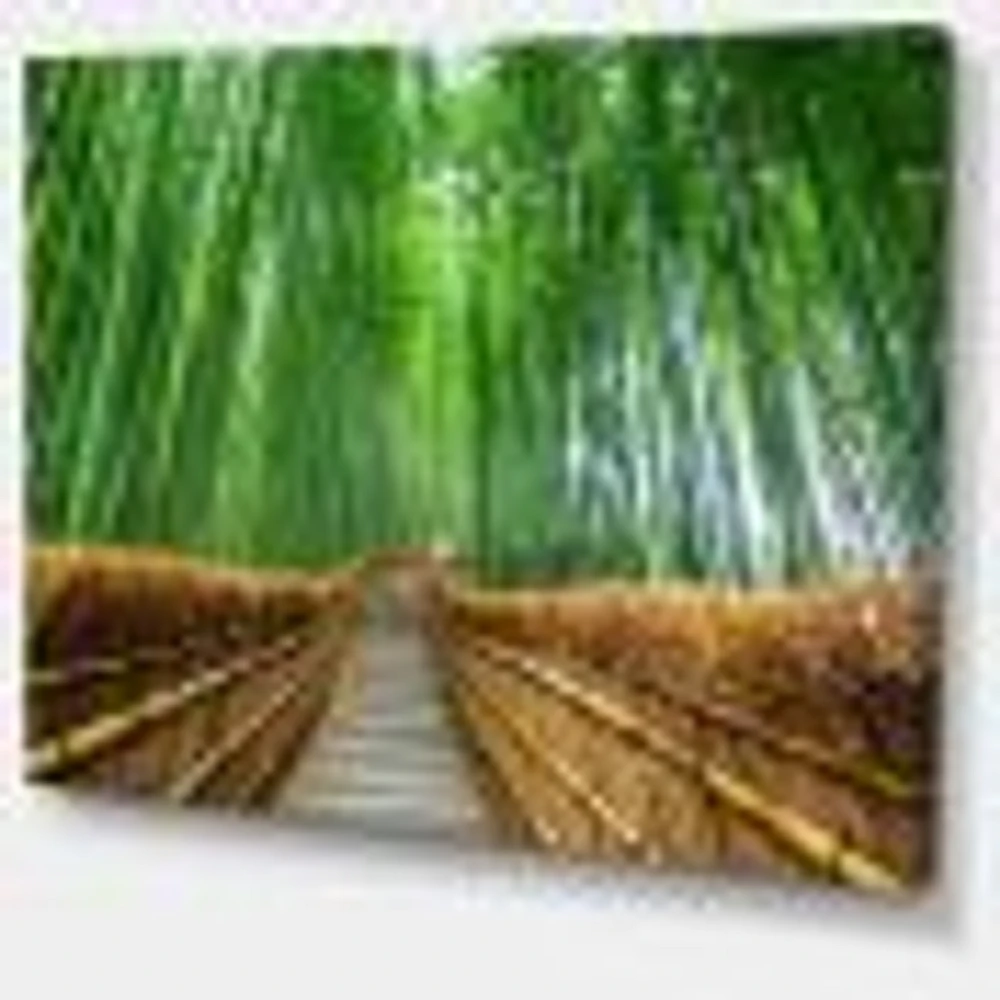 Path to Bamboo Forest  Wall Art