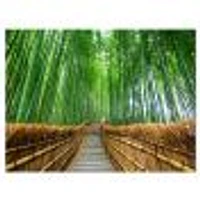 Path to Bamboo Forest  Wall Art