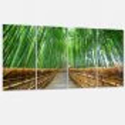Path to Bamboo Forest  Canvas Wall Art