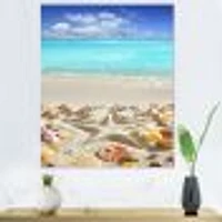 Caribbean Sea Starfish  Canvas Wall Art Print