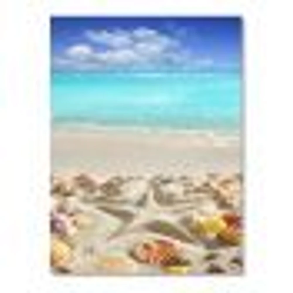 Caribbean Sea Starfish  Canvas Wall Art Print