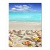 Caribbean Sea Starfish  Canvas Wall Art Print