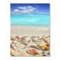 Caribbean Sea Starfish  Canvas Wall Art Print