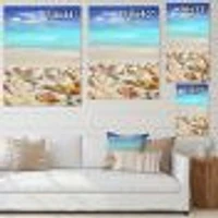 Caribbean Sea Starfish  Canvas Wall Art Print