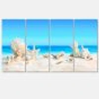 Seashells on Tropical  Canvas Wall Art