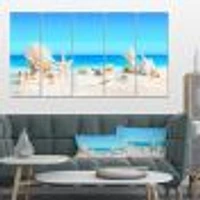 Seashells on Tropical  Canvas Wall Art