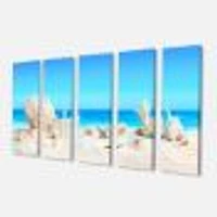 Seashells on Tropical  Canvas Wall Art