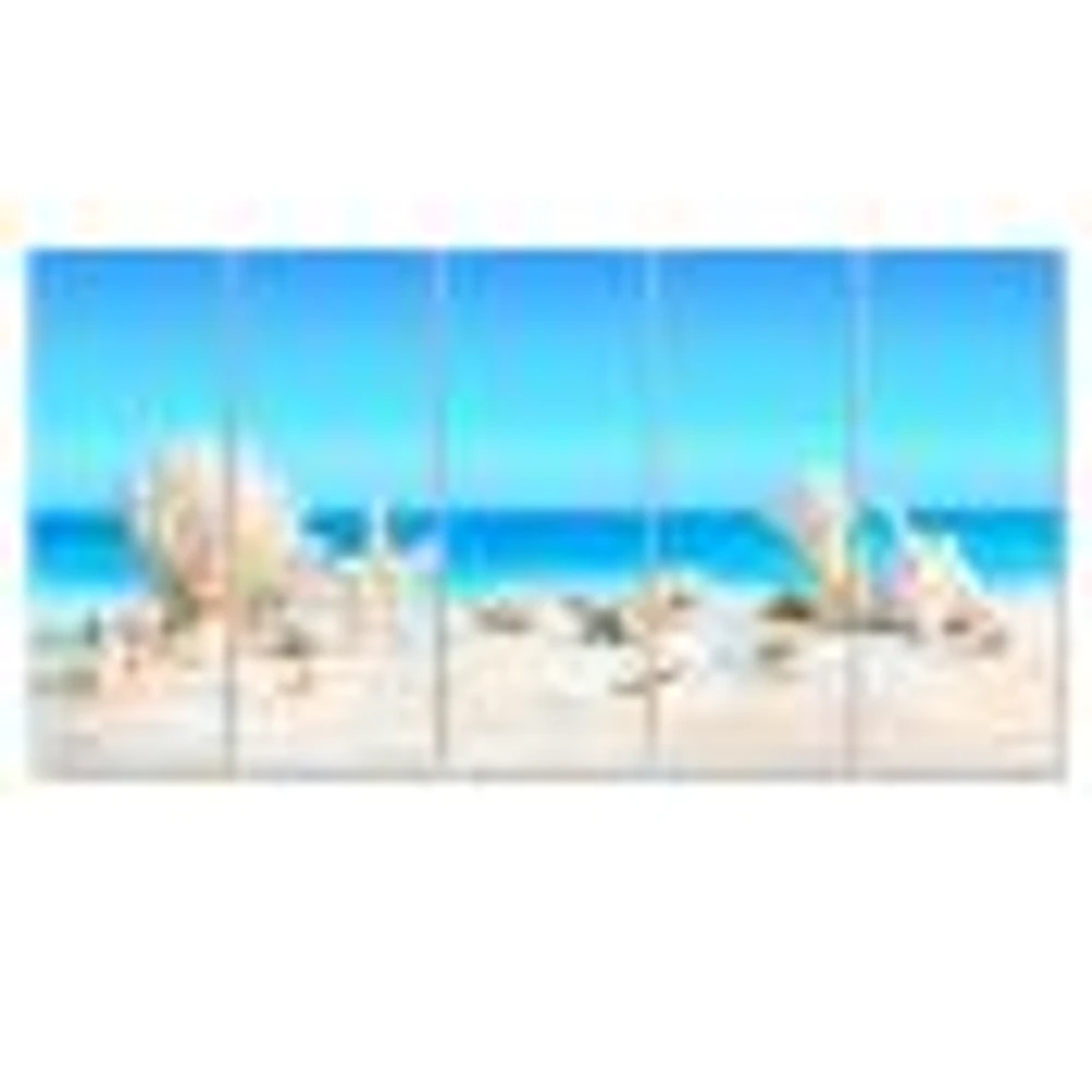 Seashells on Tropical  Canvas Wall Art