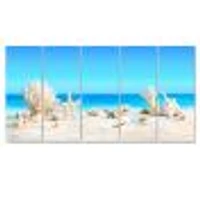 Seashells on Tropical  Canvas Wall Art