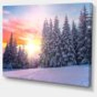 Toile « Winter Sunset Bulgaria