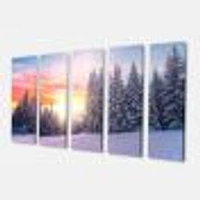 Winter Sunset Bulgaria  Canvas Wall Art