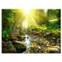 Mountain Stream Forest  Wall Art