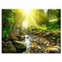 Mountain Stream Forest  Wall Art