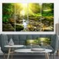 Mountain Stream Forest  Canvas Wall Art