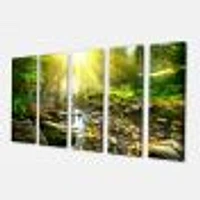 Mountain Stream Forest  Canvas Wall Art