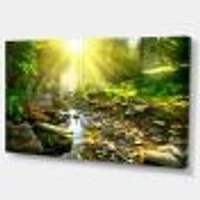 Mountain Stream Forest  Wall Art