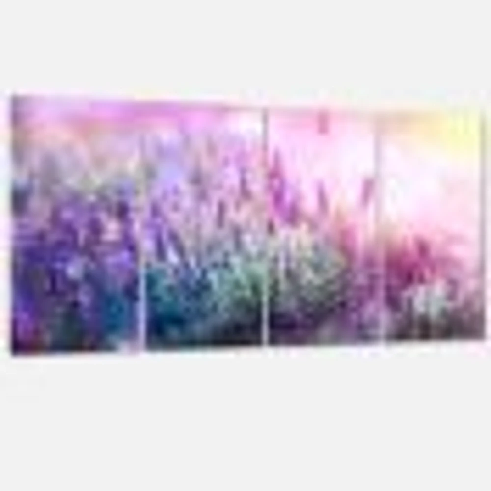 Growing and Blooming Lavender  Canvas Print