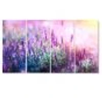 Growing and Blooming Lavender  Canvas Print