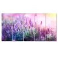 Growing and Blooming Lavender  Canvas Print