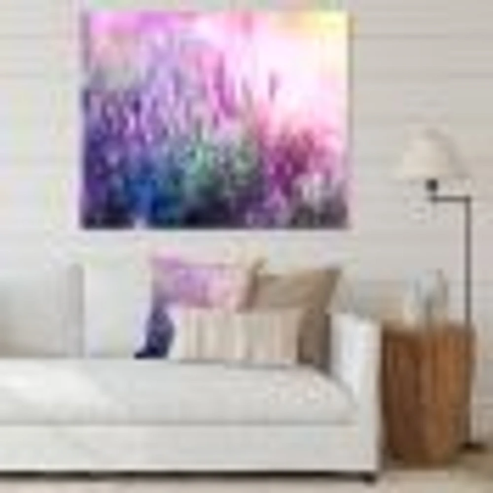 Growing and Blooming Lavender  Canvas Print