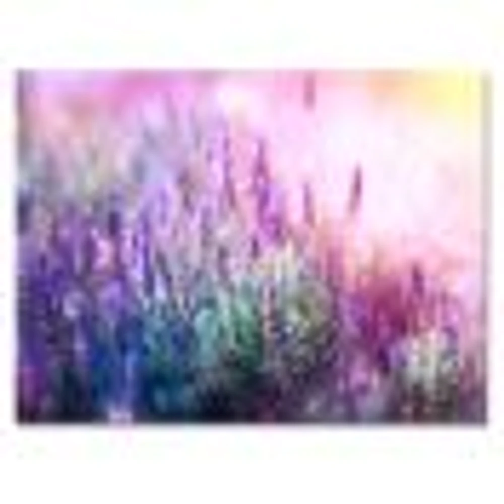 Growing and Blooming Lavender  Canvas Print