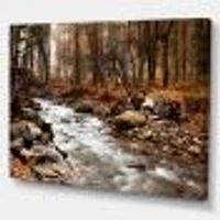 Stream Autumn Forest  Canvas Print