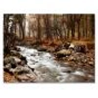 Stream Autumn Forest  Canvas Print