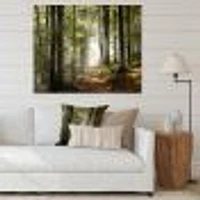 Green Fall Forest with Sun Rays  Canvas Print