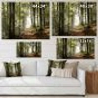 Green Fall Forest with Sun Rays  Canvas Print