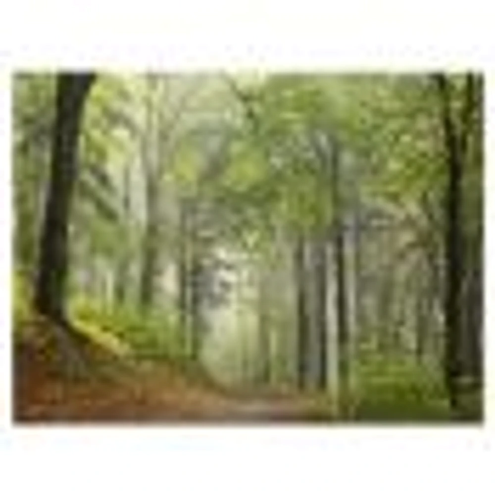 Toile « Green Beach Forest Pathway