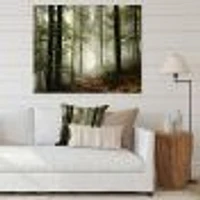 Light Dense Fall Forest with Fog  Canvas Art Print