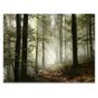 Light Dense Fall Forest with Fog  Canvas Art Print