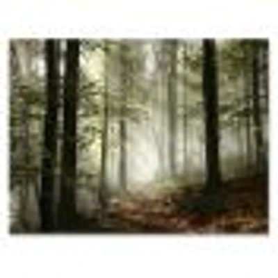 Light Dense Fall Forest with Fog  Canvas Art Print