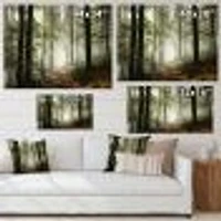 Light Dense Fall Forest with Fog  Canvas Art Print