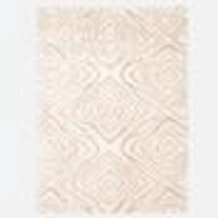 Agadir Shag Abstract Rugs