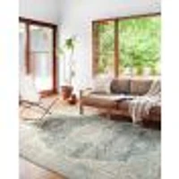 Loloi II Skye Rug