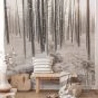 Snowy Forest Creek Wallpaper Mural