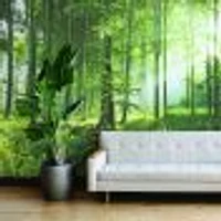 Sunny Morning Forest Wallpaper Mural