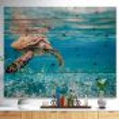 Large Hawksbill Sea Turtle Wood Wall Art