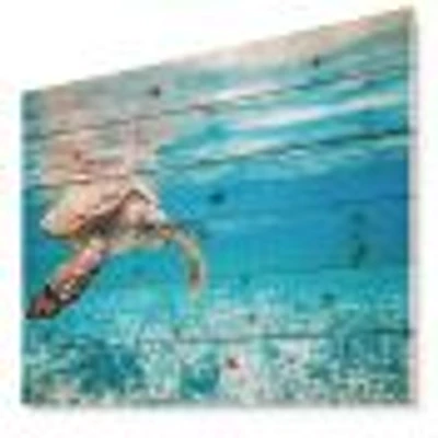 Large Hawksbill Sea Turtle Wood Wall Art