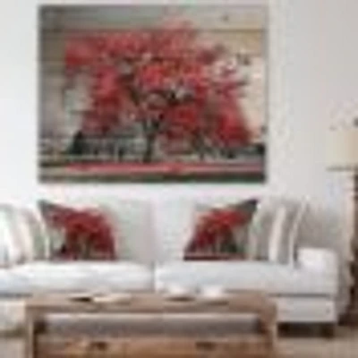Big Red Tree on Foggy Day Wood Wall Art