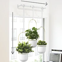 Umbra Triflora Planters