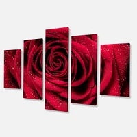 Red Rose Petals with Rain Droplets  Canvas Art Print