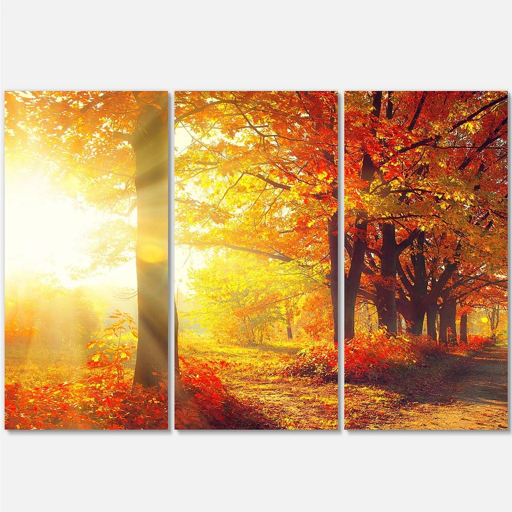 Autumnal Trees in Sunrays Canvas Wall Art - 3 Panels