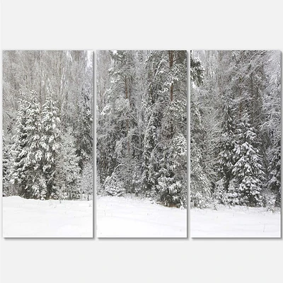 Foggy Winter Forest Panorama Canvas Wall Art