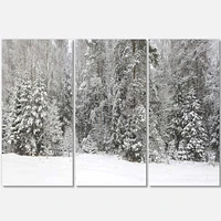 Toile « Foggy Winter Forest Panorama