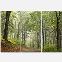 Green Beach Forest Pathway Canvas Wall Art - 3 Panels